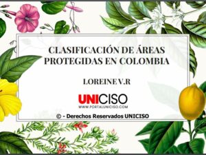 CLASIFICACIÓN DE ÁREAS PROTEGIDAS EN COLOMBIA