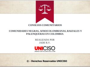 CONSEJOS COMUNITARIOS