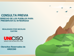 CONSULTA PREVIA