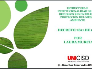 INSTITUCIONALIDAD RECURSOS RENOVABLES