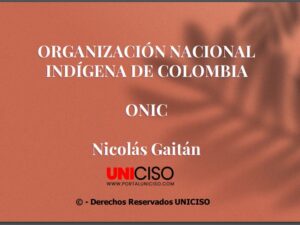 ORGANIZACIÓN NACIONAL INDÍGENA DE COLOMBIA