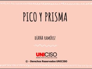 PICO Y PRISMA