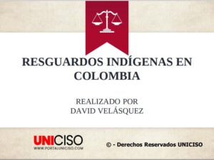 RESGUARDOS INDÍGENAS EN COLOMBIA