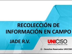 INFORMACIÓN EN CAMPO