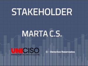 STAKEHOLDER