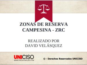 ZONAS DE RESERVA CAMPESINAS EN COLOMBIA