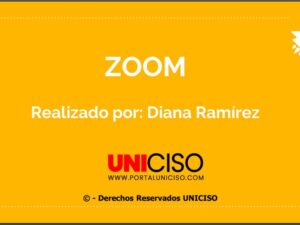 ZOOM