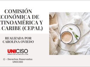 COMISIÓN ECONÓMICA DE LATINOAMÉRICA Y EL CARIBE (CEPAL)