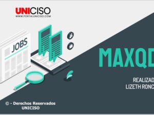 MAXQDA