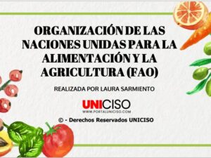 ORGANIZACIÓN DE LAS NACIONES UNIDAS PARA LA ALIMENTACIÓN Y LA AGRICULTURA (FAO)