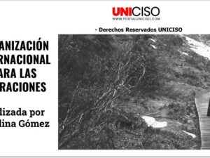 ORGANIZACIÓN INTERNACIONAL PARA LAS MIGRACIONES