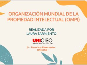 ORGANIZACIÓN MUNDIAL DE LA PROPIEDAD INTELECTUAL (OMPI)