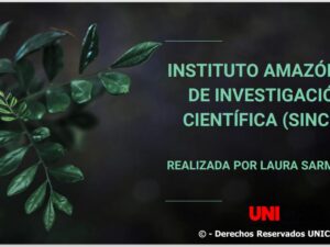 INSTITUTO AMAZÓNICO DE INVESTIGACIÓN CIENTÍFICA (SINCHI)