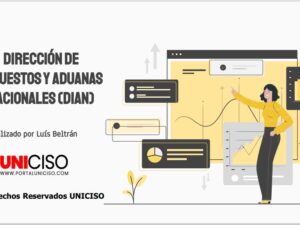 DIRECCIÓN DE IMPUESTOS Y ADUANAS NACIONALES (DIAN)