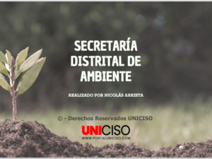 SECRETARÍA DISTRITAL DE AMBIENTE