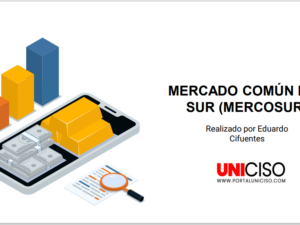 MERCADO COMÚN DEL SUR (MERCOSUR)