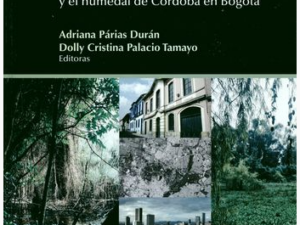 DOLLY PALACIO TAMAYO