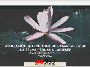 ASOCIACIÓN INTERÉTNICA DE DESARROLLO DE LA SELVA PERUANA - AIDESEP