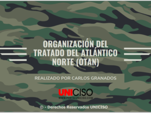 ORGANIZACIÓN DEL TRATADO DEL ATLÁNTICO NORTE (OTAN)