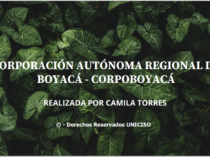 CORPORACIÓN AUTÓNOMA REGIONAL DE BOYACÁ - CORPOBOYACÁ