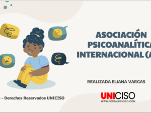 ASOCIACIÓN PSICOANALÍTICA INTERNACIONAL (API)
