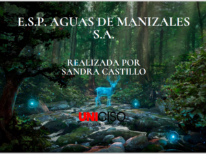 E.S.P. AGUAS DE MANIZALES S.A.P