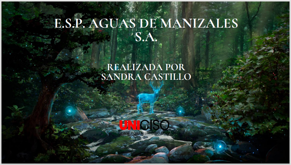 E.S.P. AGUAS DE MANIZALES S.A.P