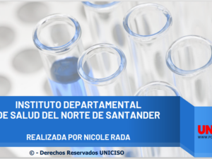 INSTITUTO DEPARTAMENTAL DE SALUD DEL NORTE DE SANTANDER