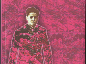 ARMANDO SILVA