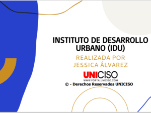 INSTITUTO DE DESARROLLO URBANO (IDU)