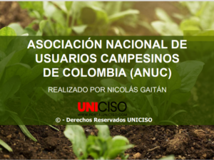 ASOCIACIÓN NACIONAL DE USUARIOS CAMPESINOS DE COLOMBIA (ANUC)