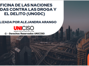 OFICINA DE LAS NACIONES UNIDAS CONTRA LAS DROGA Y EL DELITO - UNODC