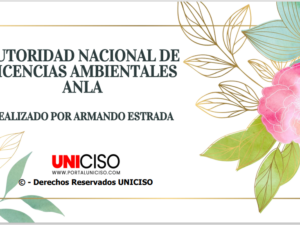 AUTORIDAD NACIONAL DE LICENCIAS AMBIENTALES - ANLA