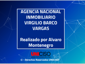AGENCIA NACIONAL INMOBILIARIO VIRGILIO BARCO VARGAS