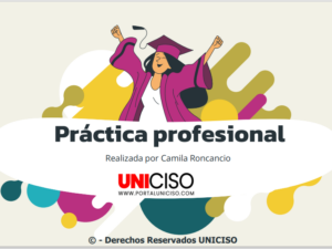 PRÁCTICA PROFESIONAL