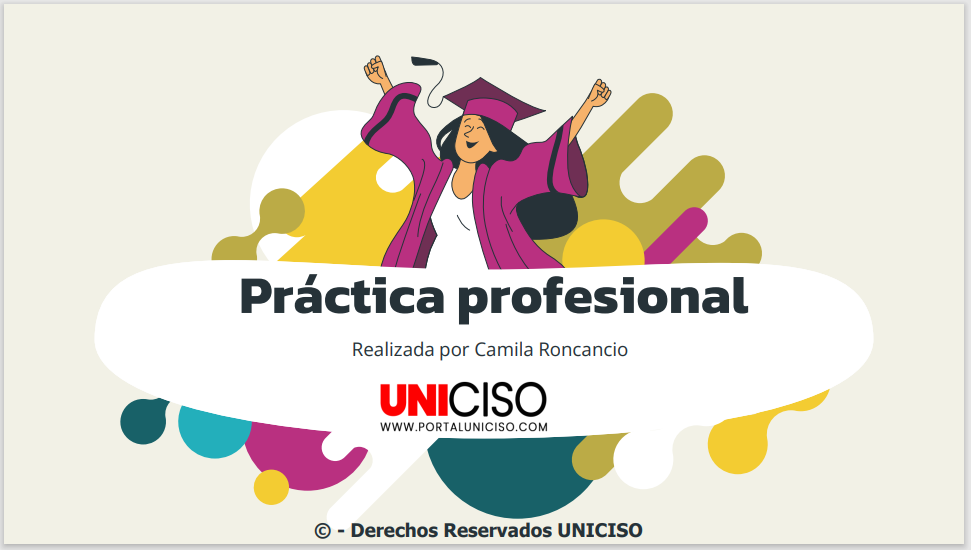 PRÁCTICA PROFESIONAL