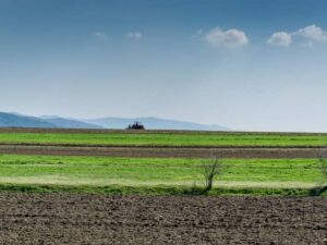 LEY 1876 DE 2017 - INNOVACIÓN AGROPECUARIA