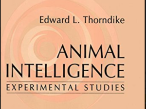 EDWARD THORNDIKE