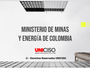 MINISTERIO DE MINAS Y ENERGÍA