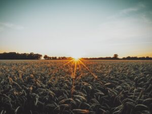 DECRETO 1567 DE 2014 - PACTO NACIONAL POR EL AGRO Y EL DESARROLLO RURAL