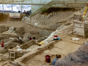 PODCAST APRENDE DE ARQUEOLOGÍA Y PALEOBOTÁNICA - INVITADA DIANA ROCIO CARVAJAL