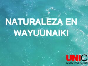 VÍDEO NATURALEZA EN WAYUUNAIKI