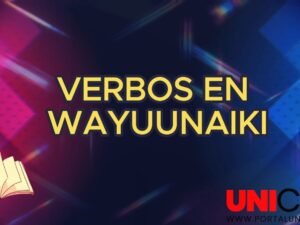 VÍDEO VERBOS EN WAYUUNAIKI PARTE 2