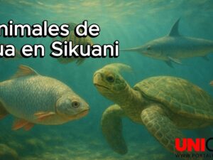 VÍDEO ANIMALES DE AGUA EN SIKUANI