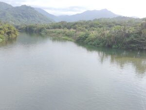 BANCO DE IMAGEN - MENDIHUACA