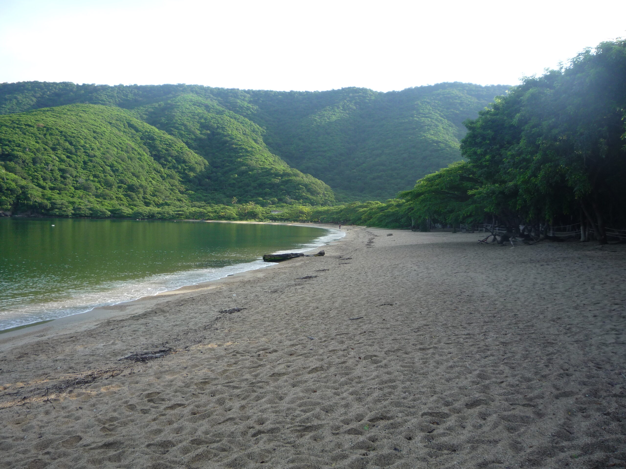 BANCO DE IMAGEN - BAHIA CONCHA
